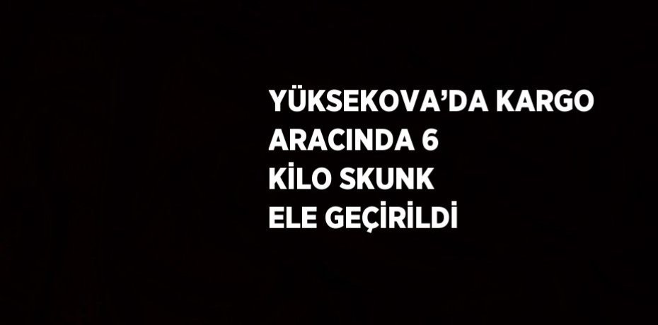 YÜKSEKOVA’DA KARGO ARACINDA 6 KİLO SKUNK ELE GEÇİRİLDİ