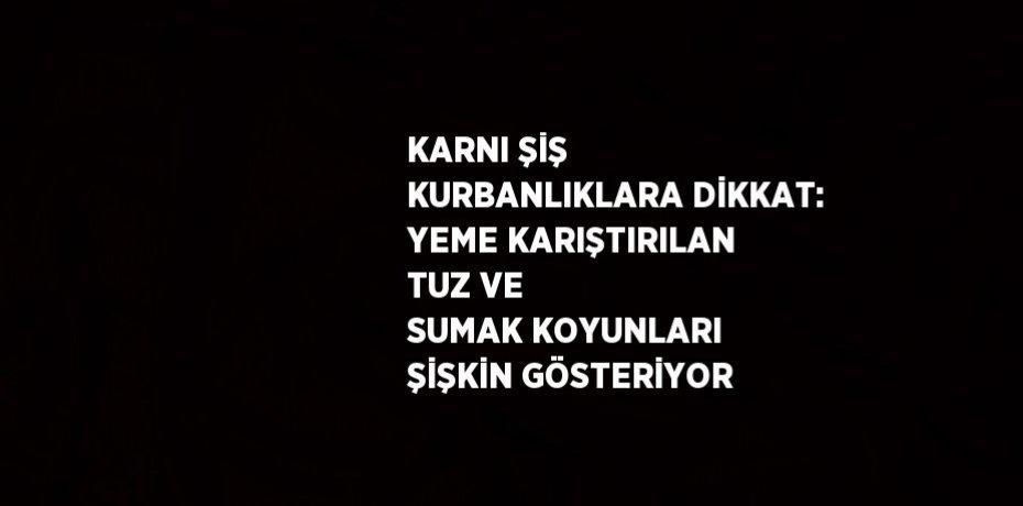 KARNI ŞİŞ KURBANLIKLARA DİKKAT: YEME KARIŞTIRILAN TUZ VE SUMAK KOYUNLARI ŞİŞKİN GÖSTERİYOR