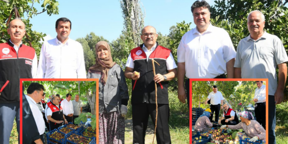 SİYAH ALTIN  HASADI BAŞLADI