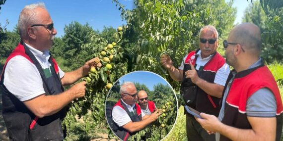 Monilya Hastalığına Karşı Seferberlik