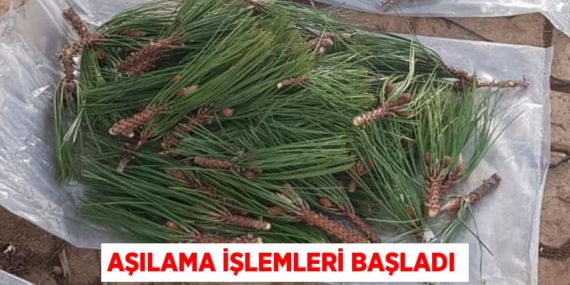AŞILAMA İŞLEMLERİ BAŞLADI