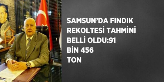 SAMSUN’DA FINDIK REKOLTESİ TAHMİNİ BELLİ OLDU:91 BİN 456 TON