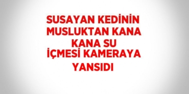 20019255522245230956tasarimli