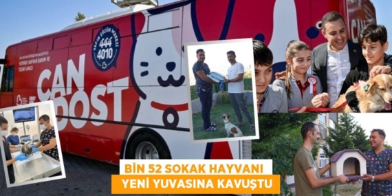 BİN 52 SOKAK HAYVANI    YENİ YUVASINA KAVUŞTU