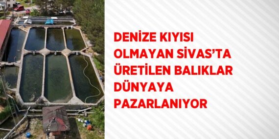 DENİZE KIYISI OLMAYAN SİVAS’TA ÜRETİLEN BALIKLAR DÜNYAYA PAZARLANIYOR