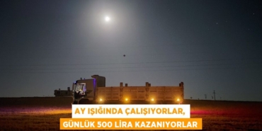 20029205232509630690tasarimli