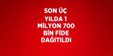 20029307722923522814tasarimli