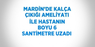 20037211782494431289tasarimli