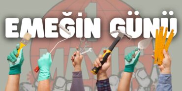 20037280892060924877