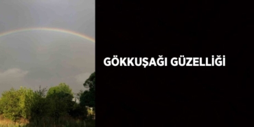 20037294932228831760