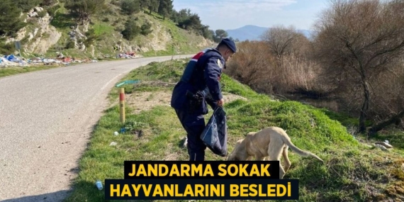 JANDARMA SOKAK HAYVANLARINI BESLEDİ