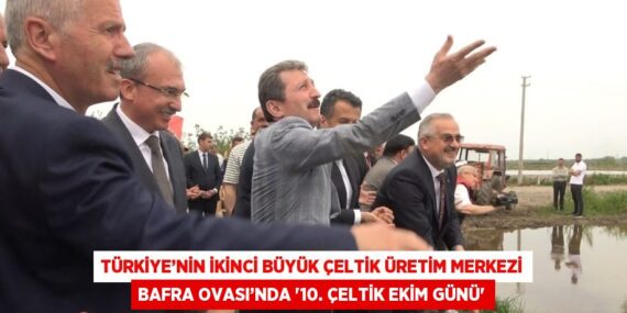 TÜRKİYE’NİN İKİNCİ BÜYÜK ÇELTİK ÜRETİM MERKEZİ BAFRA OVASI’NDA ’10. ÇELTİK EKİM GÜNÜ’