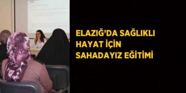 20056217342739420376