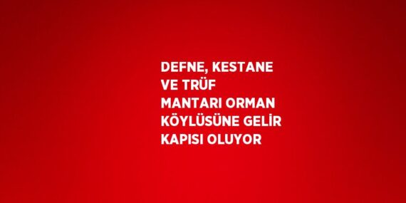 DEFNE, KESTANE VE TRÜF MANTARI ORMAN KÖYLÜSÜNE GELİR KAPISI OLUYOR