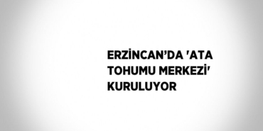 20061304963133321718