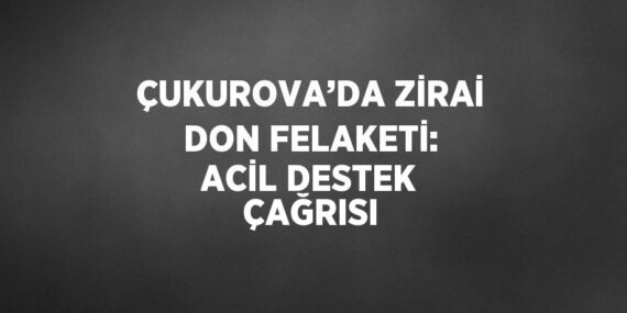 ÇUKUROVA’DA ZİRAİ DON FELAKETİ: ACİL DESTEK ÇAĞRISI