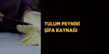 20076290812981520617