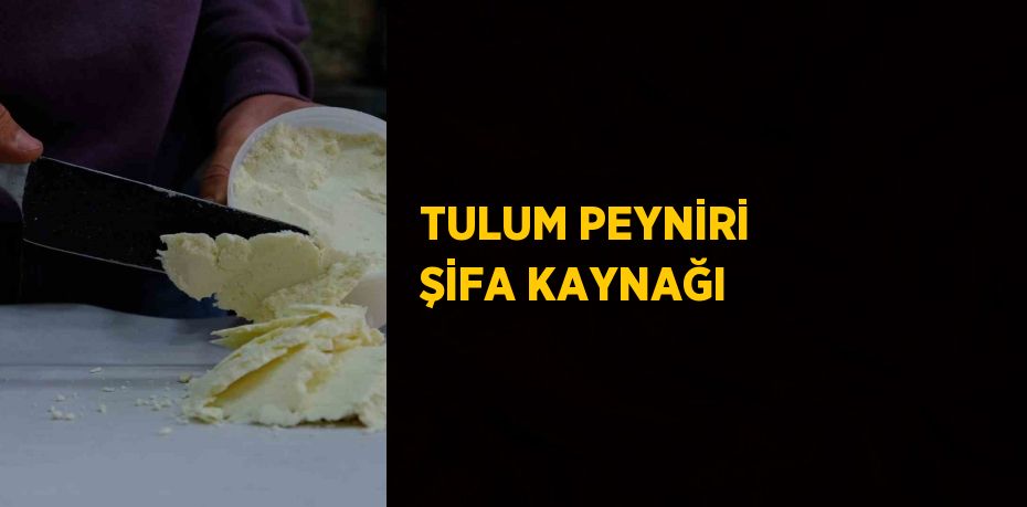 20076290812981520617