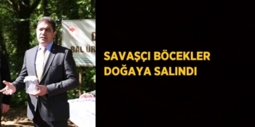 20086223073169330391