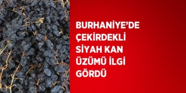 20088298302887730581
