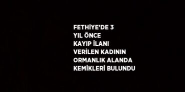 20090284232196820197