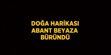 20097215972881223306tasarimli