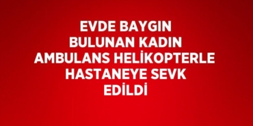 20098229333087227134tasarimli