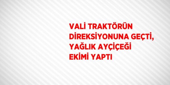 VALİ TRAKTÖRÜN DİREKSİYONUNA GEÇTİ, YAĞLIK AYÇİÇEĞİ EKİMİ YAPTI