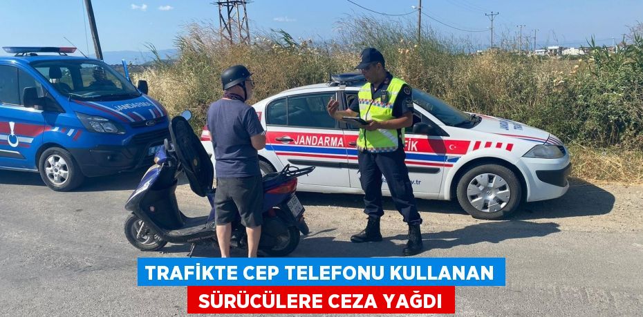 20108265892202625229tasarimli