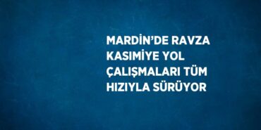 20110304442486024115