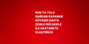 20115248862460823465