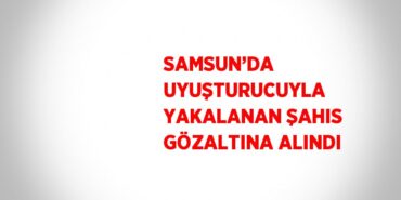 20123307472494926646