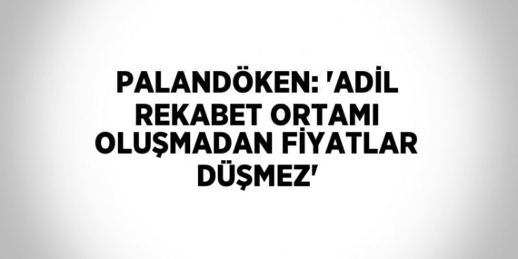 PALANDÖKEN: ‘ADİL REKABET ORTAMI OLUŞMADAN FİYATLAR DÜŞMEZ’