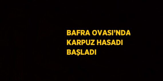 BAFRA OVASI’NDA KARPUZ HASADI BAŞLADI