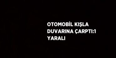20127235282481730213