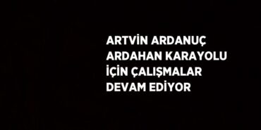 20135255923060330868