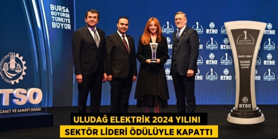 ULUDAĞ ELEKTRİK 2024 YILINI   SEKTÖR LİDERİ ÖDÜLÜYLE KAPATTI