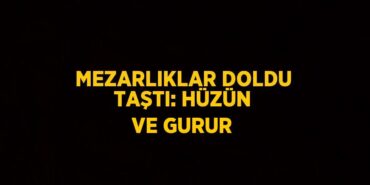 20136268932148324913tasarimli