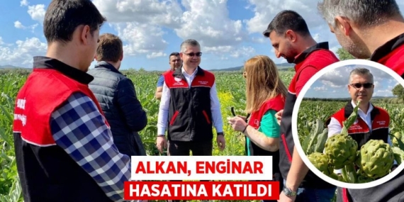 ALKAN, ENGİNAR HASATINA KATILDI