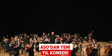 20148270662825229616tasarimli