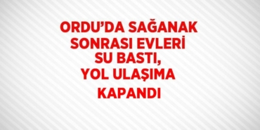 20148309202251930491tasarimli