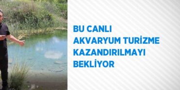 20150215432013128214