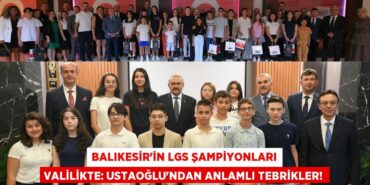 20150235133072325779tasarimli