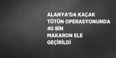20150278353092427268