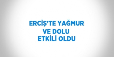 20157237982867522136tasarimli