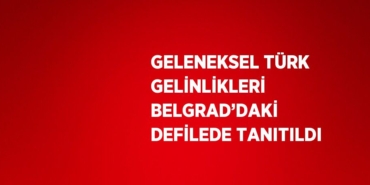20158230622913720613