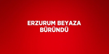 20158309562912024499tasarimli