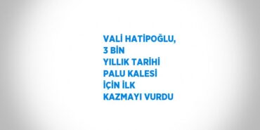 20167291813114127233