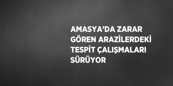 AMASYA’DA ZARAR GÖREN ARAZİLERDEKİ TESPİT ÇALIŞMALARI SÜRÜYOR