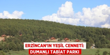 20169264233020322649tasarimli